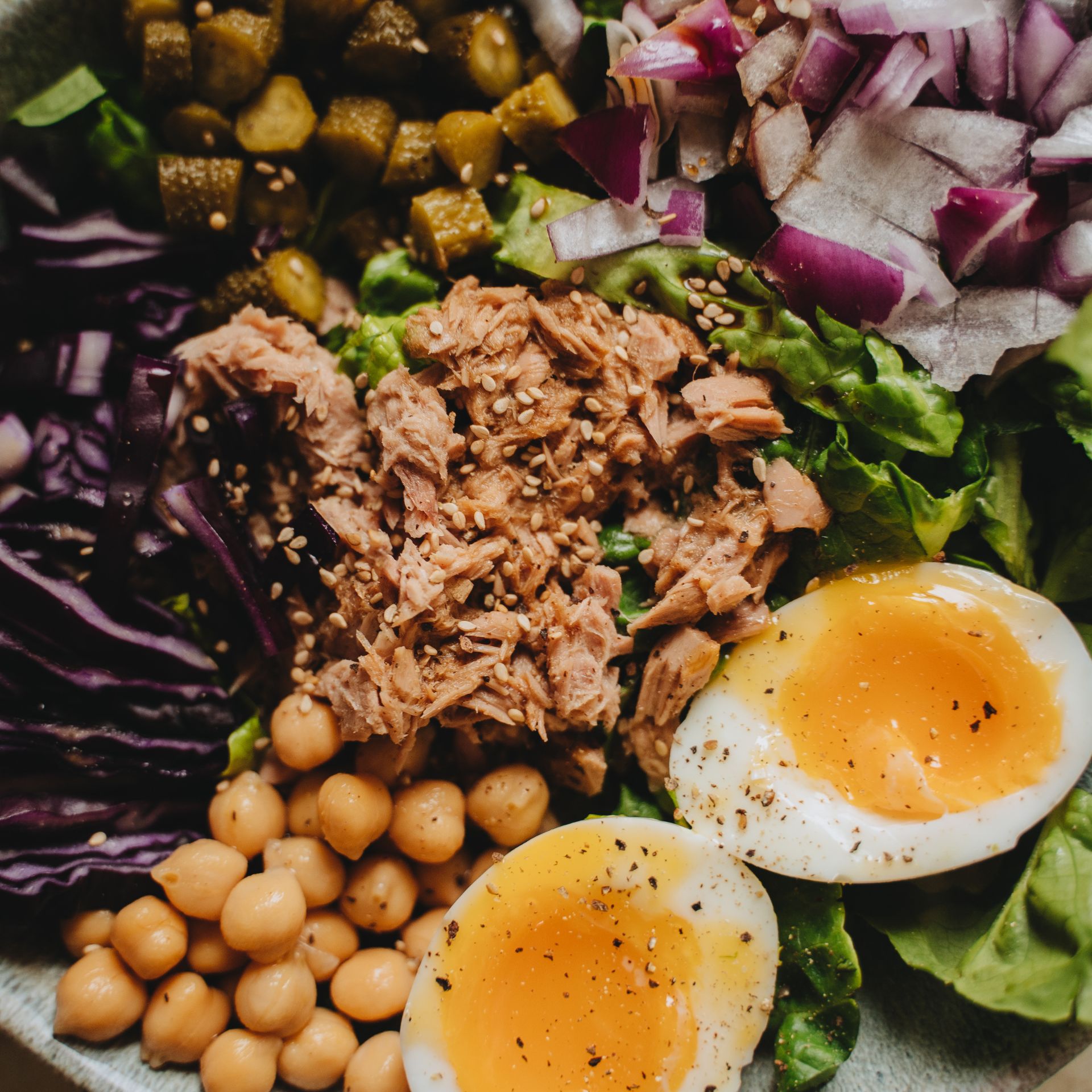 idées repas protéinés