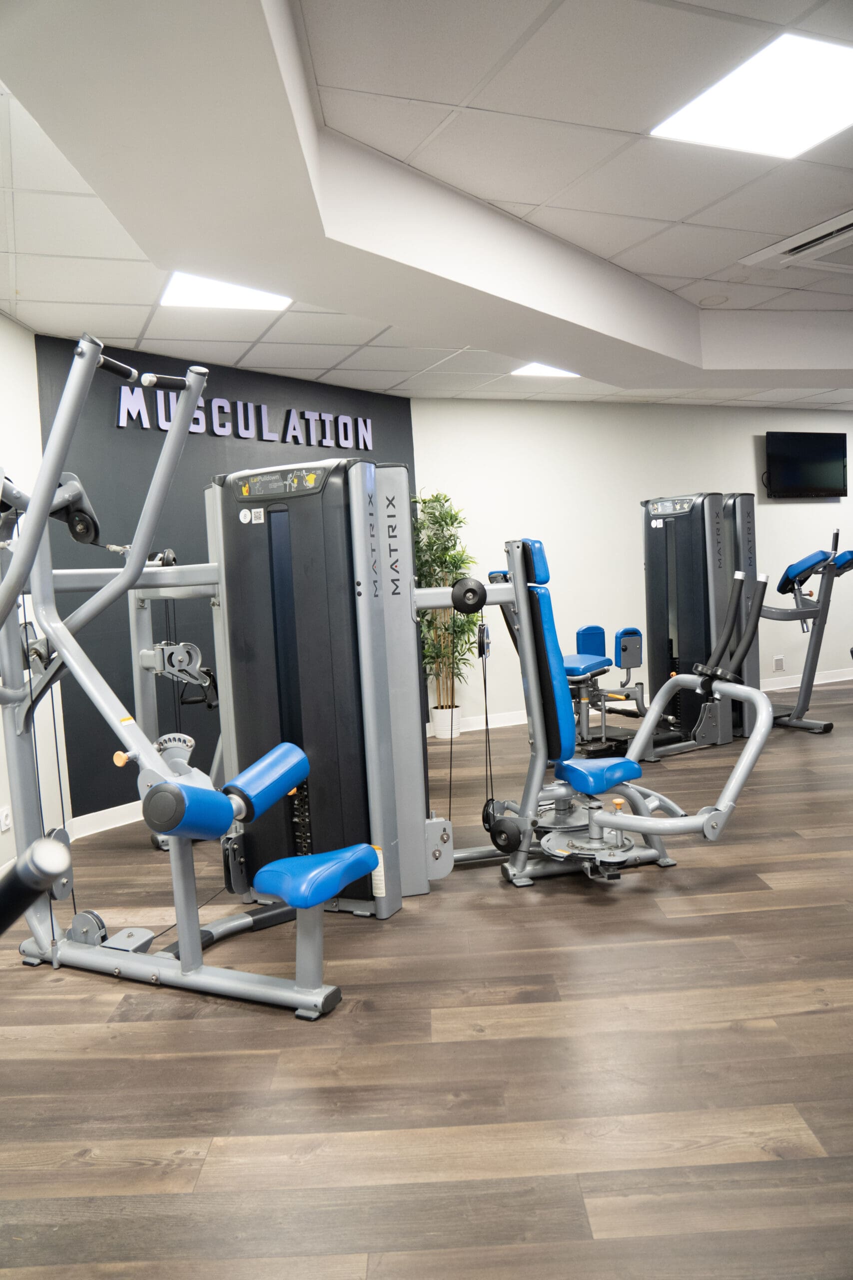 Musculation